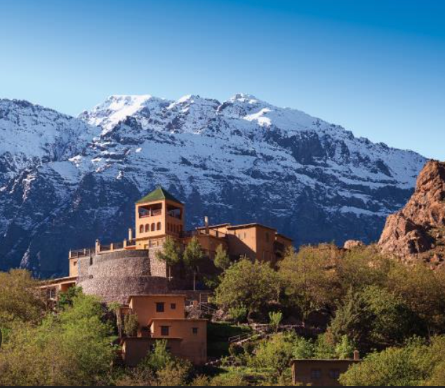 Home screenshot 2026 04 03 at 8.49.40 pm